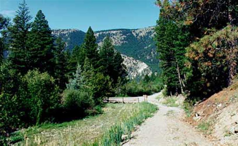 Thompson Hellgate Trail: 