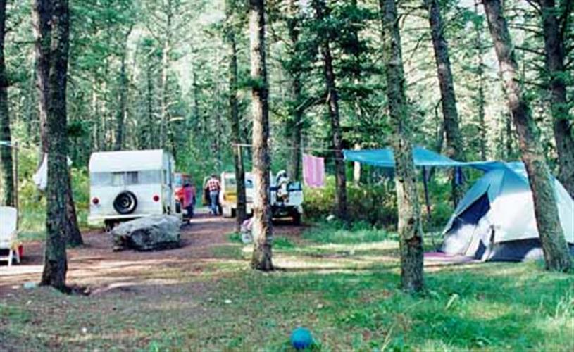 Vigilante Campground: campground