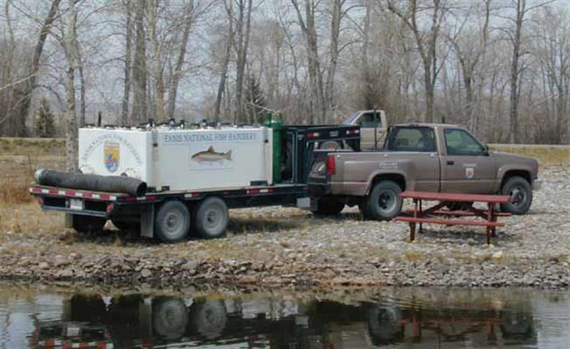 Ennis National Fish Hatchery: truck with fish