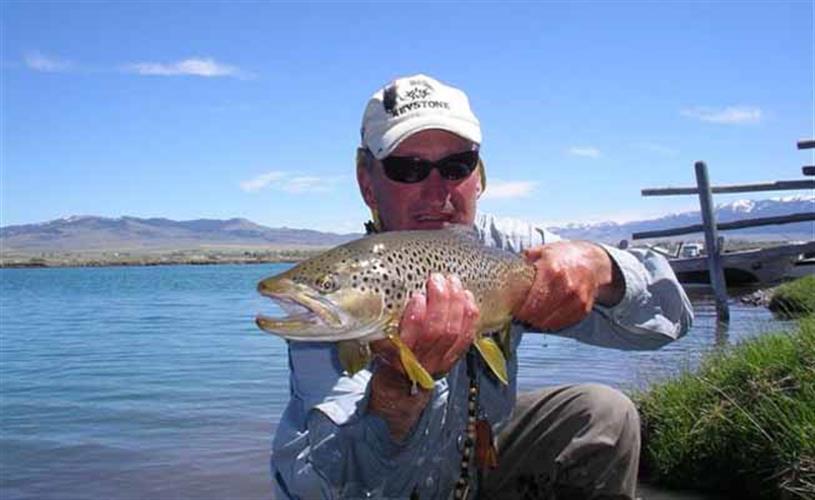 Four Rivers Fishing Co.: brown trout