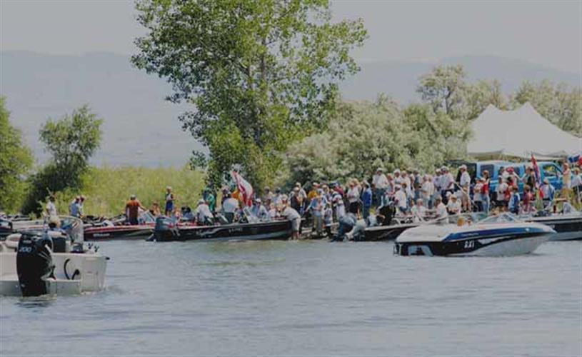 Townsend Area Chamber of Commerce: Walleye Tournament