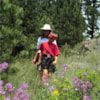 Mount Helena Ridge - National Recreation Trail