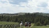 Summer Star Ranch Horseback Rides