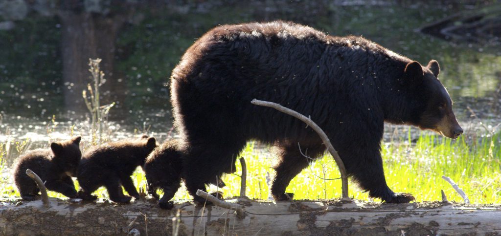 a015_c005_0524l7-0003293