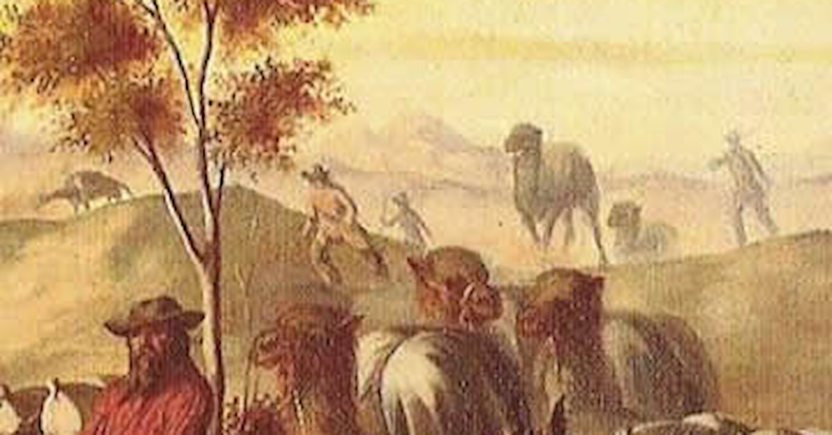 Montana Top (Camel) main image 0