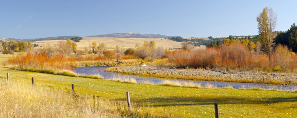 The leaves are turning in Southwest Montana