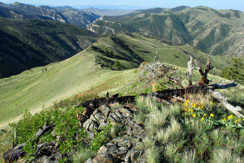 Remembering the Mann Gulch Fire | Southwest Montana