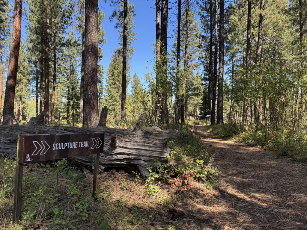 A rustic brown wayfinding sign reading "Sculpture Trail" with white arrows pointing right stands in front of a weathered fallen log at Sculpture in the Wild in Lincoln, Montana, where a dirt path covered in pine needles curves through tall pines and green undergrowth toward a small interpretive sign farther down the trail. Photo by Alyssa Starr, Tempest Technologies, LLC.