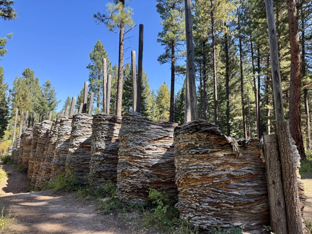 Hill and Valley by Steven Siegel, a winding wall of weathered, layered newspaper built around tall lodgepole poles, curves alongside a dirt path at Sculpture in the Wild in Lincoln, Montana, its gray and rust-toned layers resembling stacked stone beneath tall pines and a clear blue sky. Photo by Alyssa Starr, Tempest Technologies, LLC.