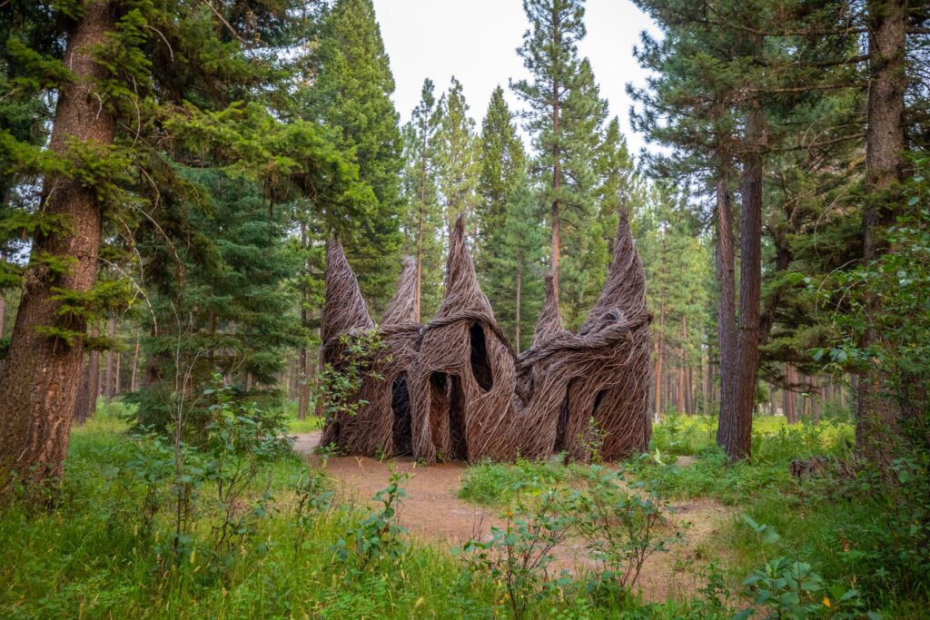 Tree Circus by Patrick Dougherty, a large sculpture of woven saplings with swirling, pointed spires and arched openings, stands in a forest clearing at Sculpture in the Wild in Lincoln, Montana, framed by tall pines, leafy green undergrowth, and a dirt path leading up to its base. Photo by Eric Bunting.
