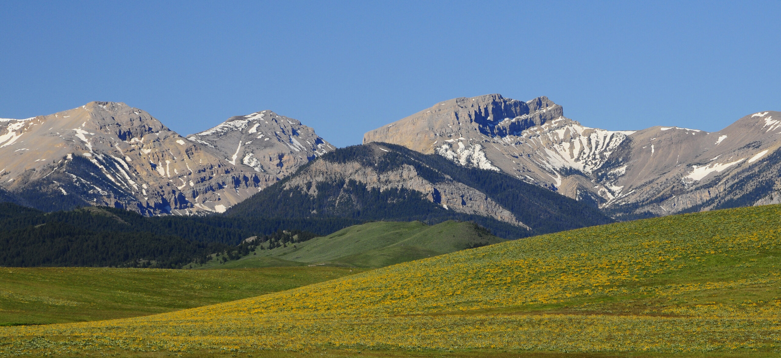 Rocky Mountain Front Crown Mountain West of Augusta