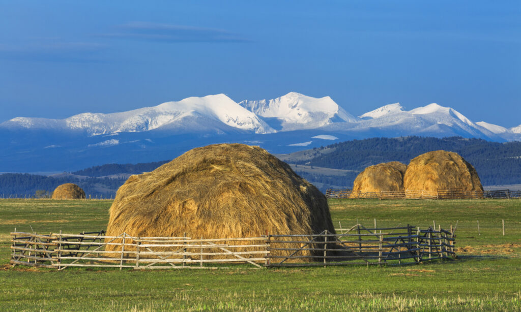 Flint Creek Range from the East featuring a massive haystack