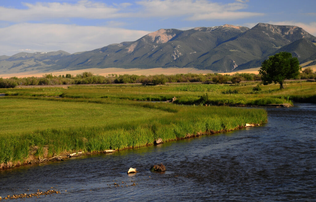 Beaverhead River and Blacktail Mountains