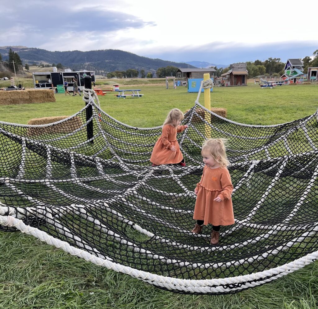 Kids play on a spider web themed net at Applestem Corn Maze and Pumpkin Patch in Craig, Montana. Photo by Linda Brown, Tempest Technologies. 