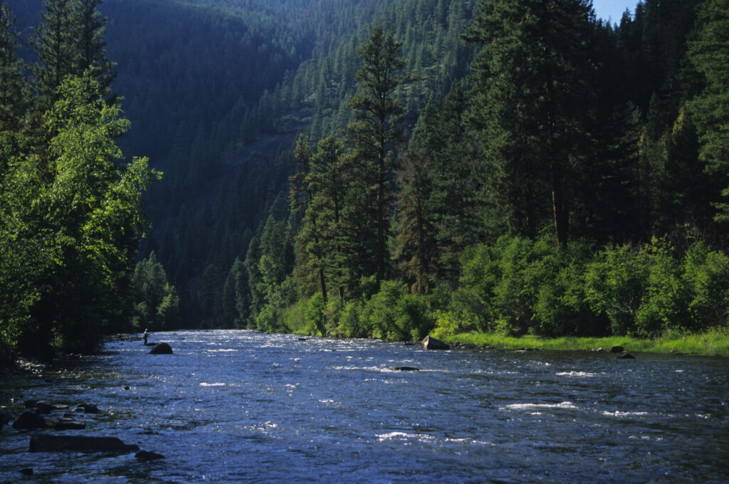 Rock Creek Looking into the Welcome Creak Wilderness