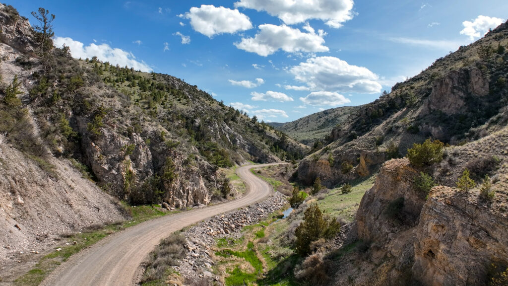A scenic unpaved gravel road winds through the rocky, narrow canyon walls of Milligan Canyon near Three Forks, Montana, with juniper trees clinging to the rocky slopes, a small stream visible in the canyon bottom, and fresh green spring growth emerging along the hillsides beneath a wide open blue Montana sky, representing the rugged backcountry roads and springtime scenery of Southwest Montana. Photo by Sarah Bolt, Tempest Technologies.