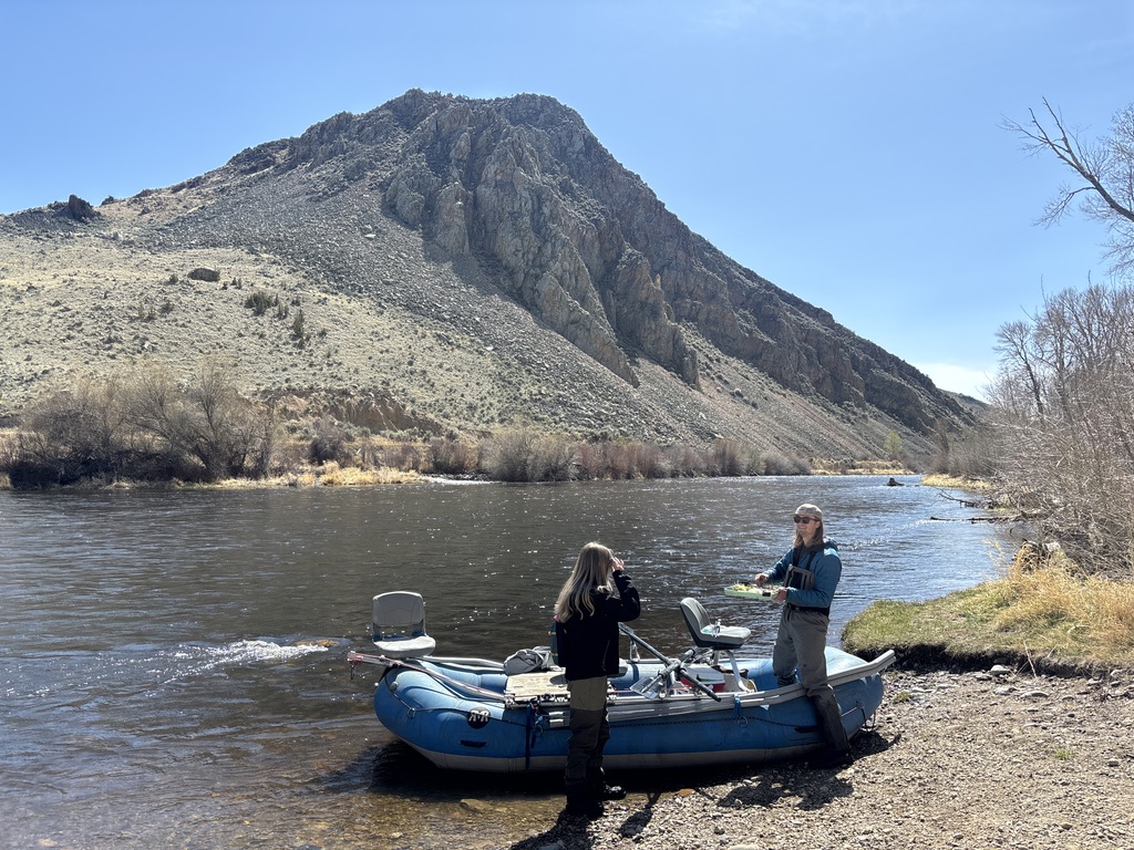 Two anglers unloading a blue raft on the rocky gravel shoreline of the Big Hole River at the Tony Schoonen Fishing Access Site near Twin Bridges, Montana, a site formerly known as Notch Bottom or simply The Notch to locals, with one angler in waders and a teal jacket rigging up fishing gear while the other stands nearby on the bank, and the dramatic rocky peak of the Hogback Ridge rising steeply and prominently against a wide clear blue sky in the background, the same ridge that Meriwether Lewis climbed on August 5 1805 during the Lewis and Clark Expedition, showing the rugged high desert landscape, sparse sage covered hillsides, dormant cottonwood and willow trees lining the far bank, and the wide slow moving river corridor characteristic of Southwest Montana fly fishing country during early spring on the Big Hole River.