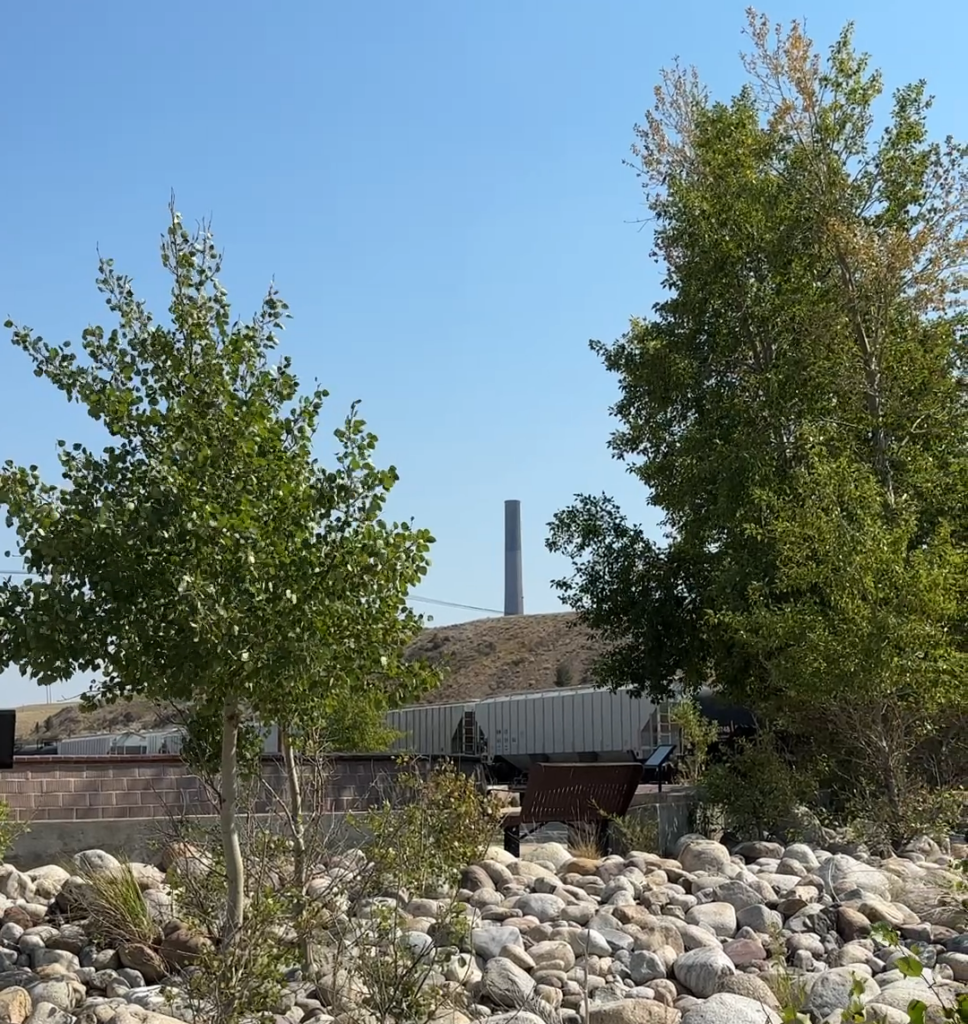 A field of large rounded river rocks and boulders at Anaconda Stack State Park in Anaconda, Montana, with young cottonwood and aspen trees growing up through the rocky landscape, and the iconic Anaconda Smelter Stack — one of the tallest free-standing brick structures in the world — rising above a low hillside in the background against a clear blue summer sky, evoking the industrial legacy and reclaimed natural character of this historic copper smelting site in Southwest Montana.