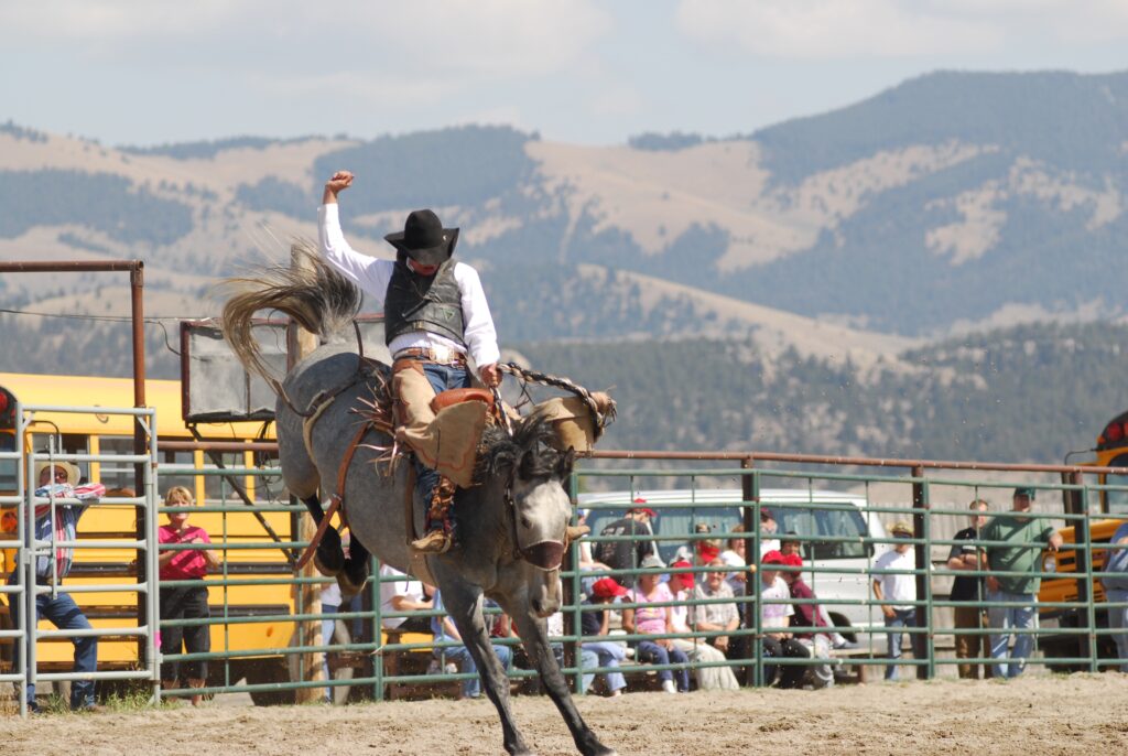 A saddle bronc rider marks out on a bucking horse during the Jefferson County Fair Rodeo in Boulder, Montana, with foothills rising behind the arena. Photo by Donnie Sexton, Montana Department of Tourism.