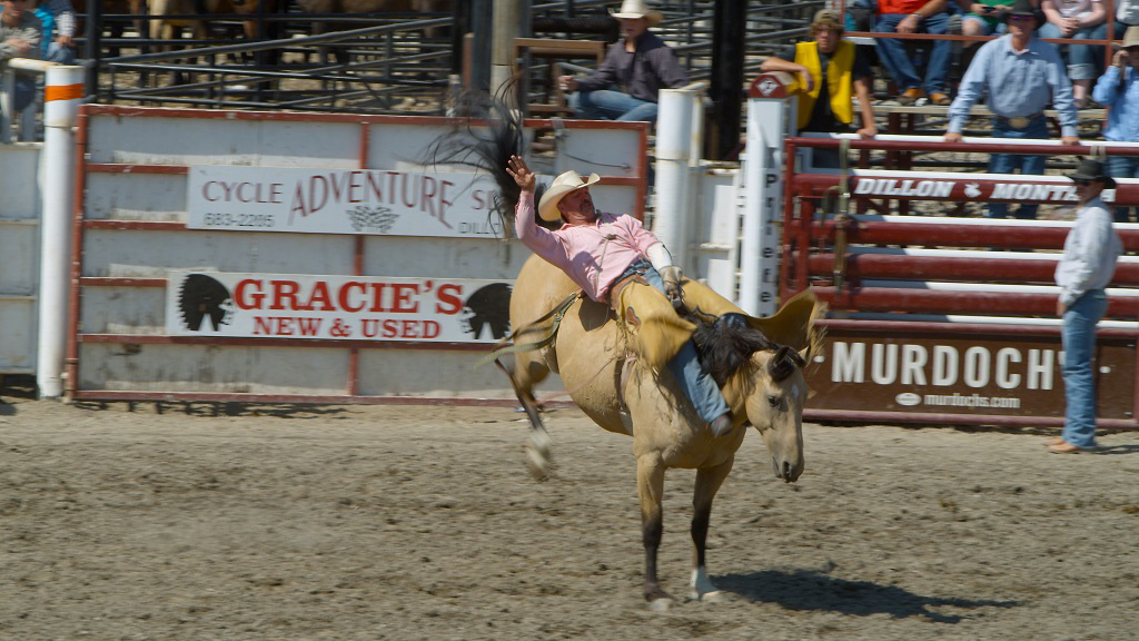 A cowboy competes in saddle bronc riding at the Dillon Jaycees PRCA Rodeo during Montana's Biggest Weekend in Dillon, Montana, marking out on a bucking horse in front of a packed arena fence. Photo by Tempest Technologies LLC.