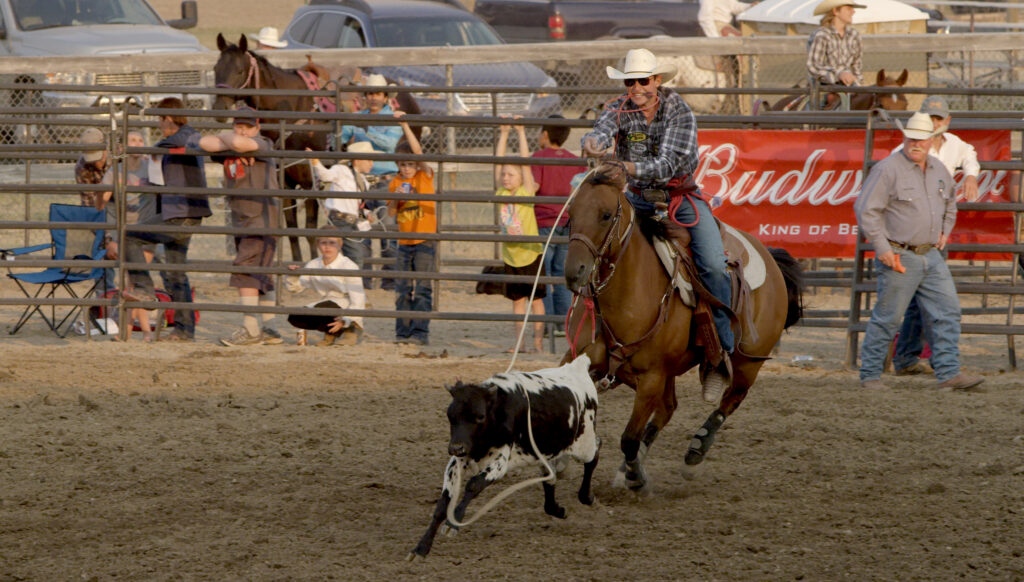 A cowboy competes in calf roping on horseback at the Tri-County Fair Rodeo in Deer Lodge, Montana, with fans crowded along the fence rail during the run. Photo by Tempest Technologies LLC.