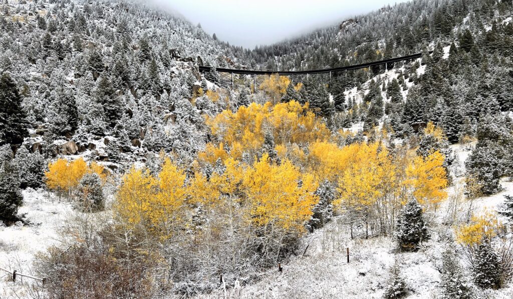 A grove of golden aspens stands out against fresh snow in a mountain canyon near Butte, Montana. Snow-dusted evergreens and boulders cover the steep slopes, a dark steel railroad trestle spans the canyon above the aspens, and low clouds settle over the ridgeline, an early-season snow and fall foliage scene in Southwest Montana. Photo by Rick Graetz.