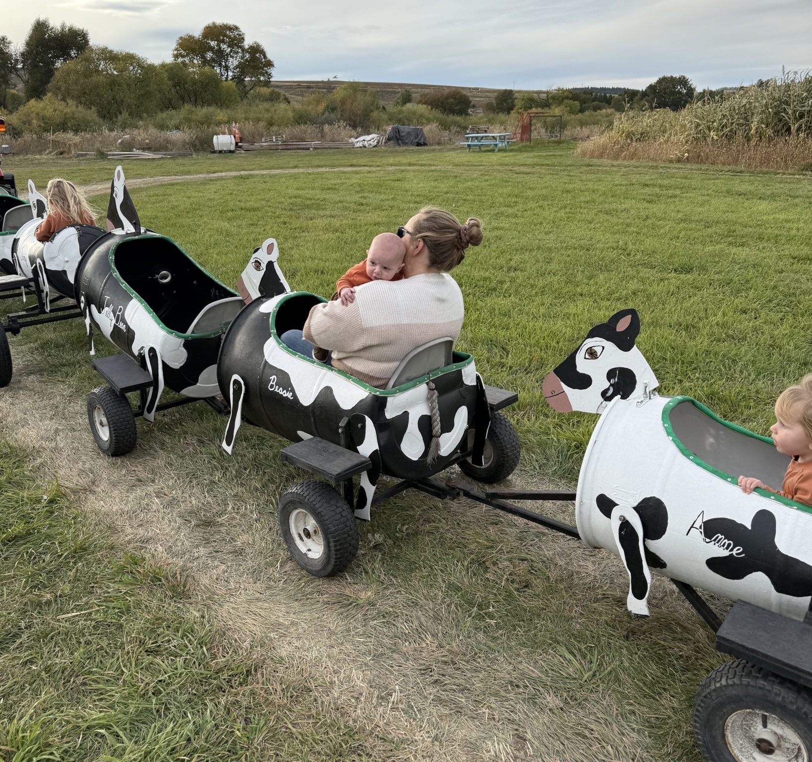 Applestem Corn Maze and Pumpkin Patch
