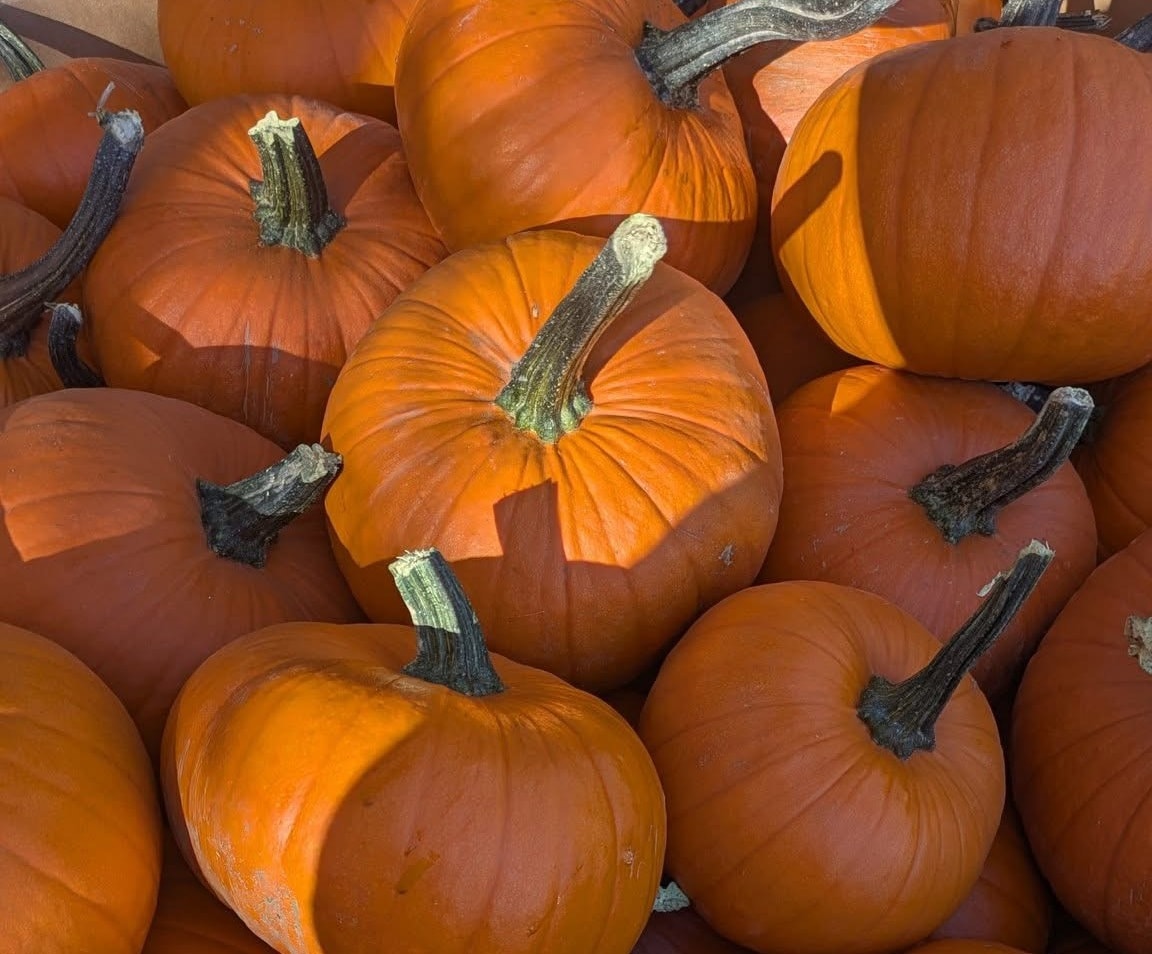 Deer Lodge Fall Fest