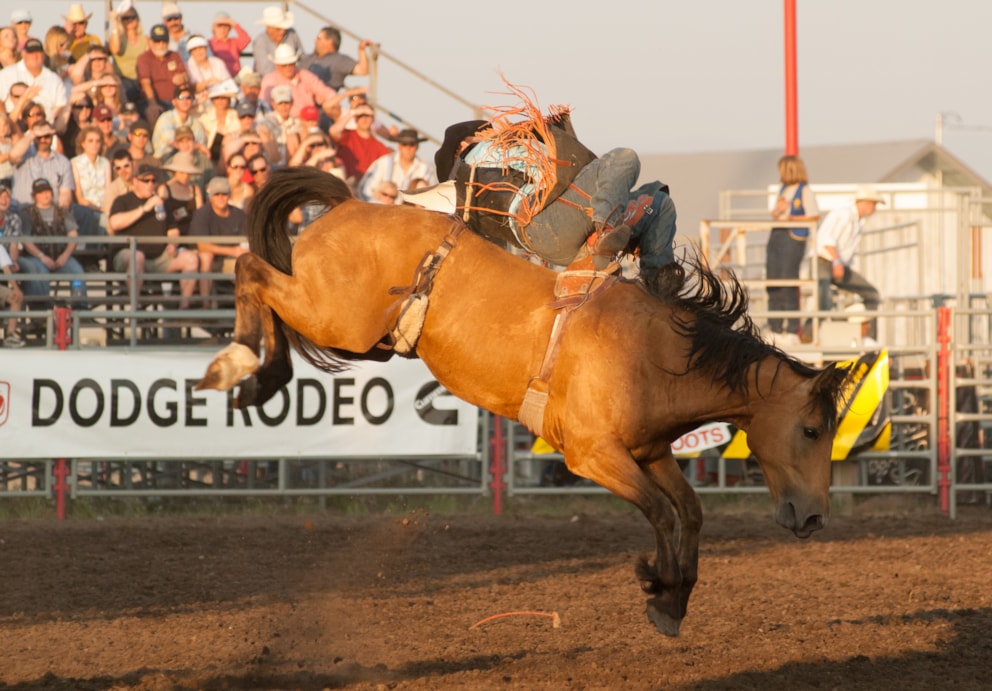 Lst Rodeo Last Chance Stampede Fair and Rodeo - Helena, MT | Southwest Montana