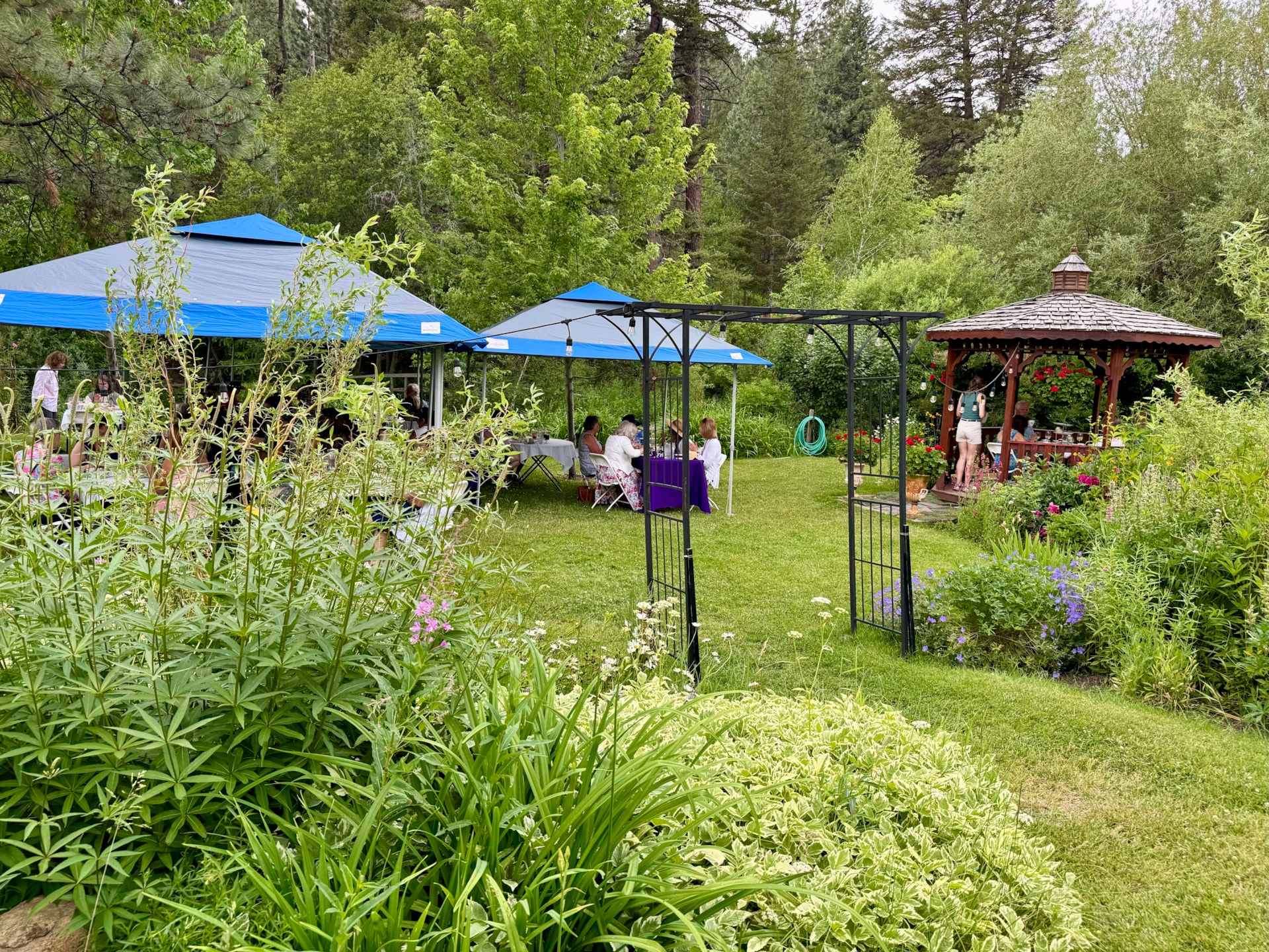 High Tea in the Garden in July