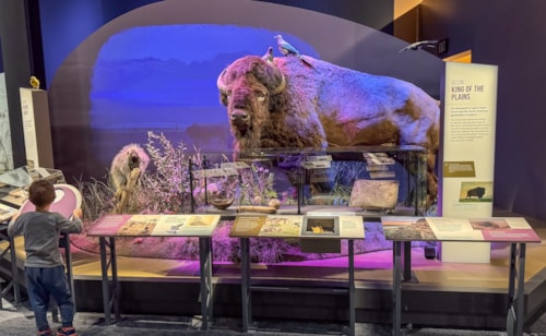 Montana Heritage Center