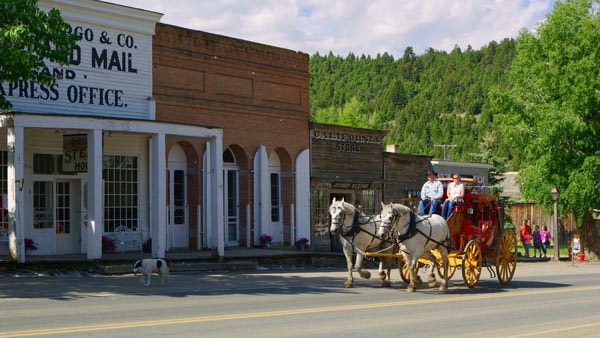 Vigilante Carriages - Stagecoach Tours & Horseback Rides