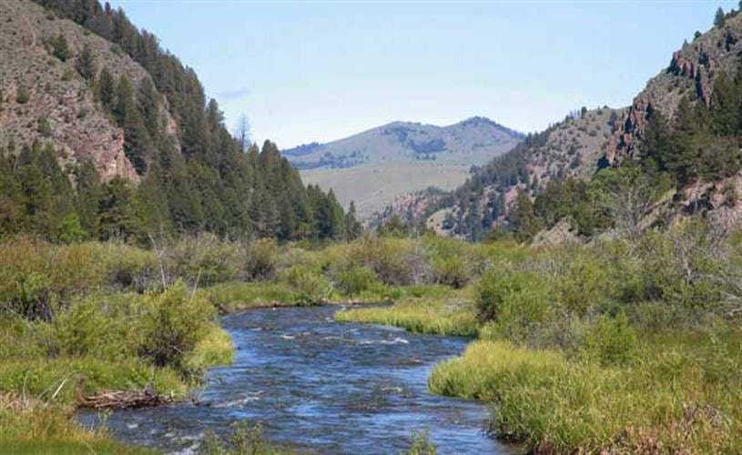 Twisted Fork Ranch: East Fork