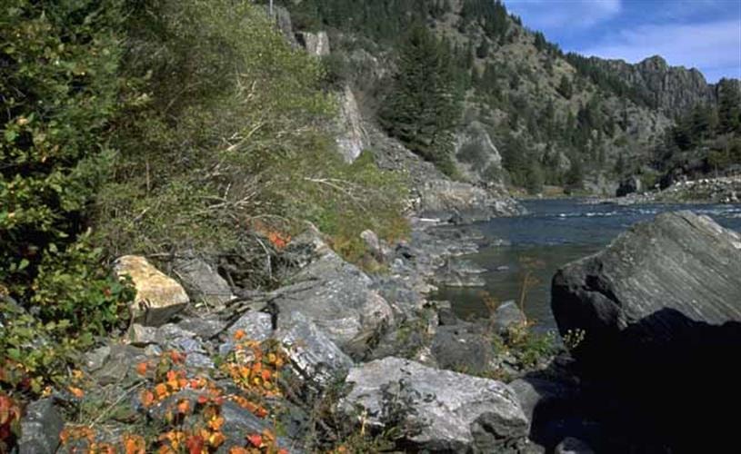 Bear Trap Canyon Wilderness: autumn