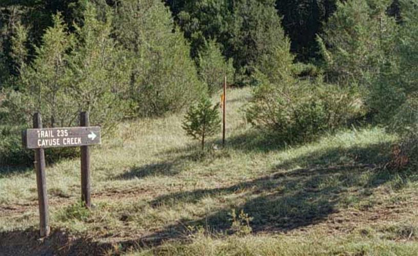 Cayuse Trail: 