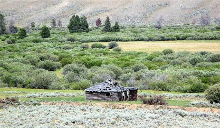 Big Hole River RV Park: 