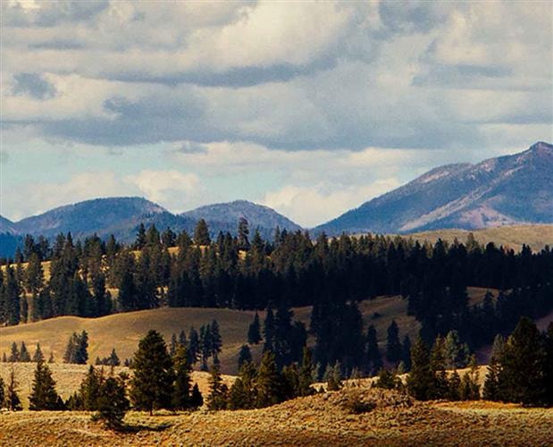 Fairmont Estates Condominiums: 