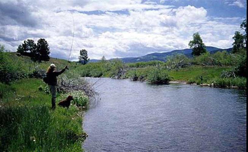 Flint Creek Outdoors: small creek