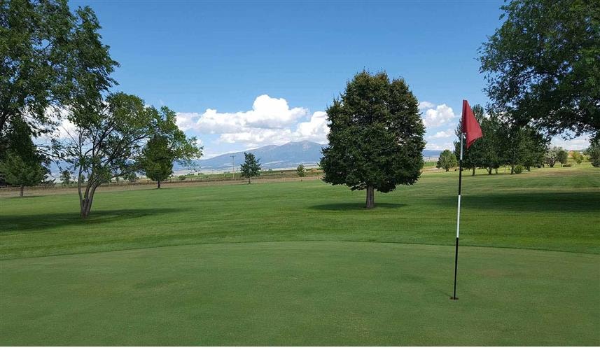 Old Baldy Golf Course: 