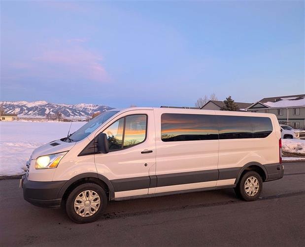 Old Faithful and Friends: 