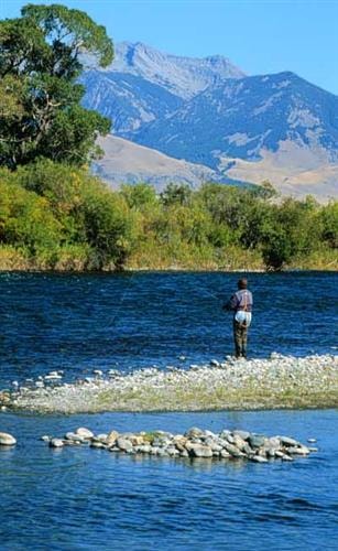 Ennis Chamber of Commerce: 