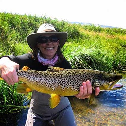 Madison Valley Ranch: brown trout
