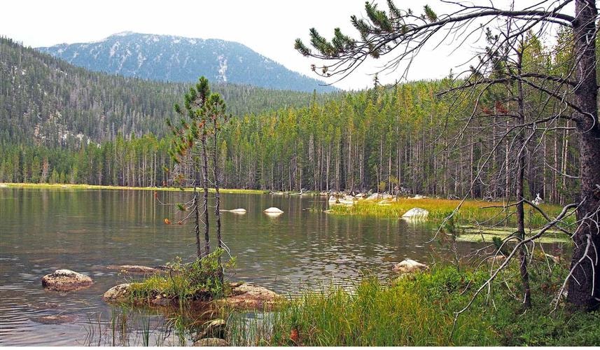 Beaverhead-Deerlodge National Forest: 