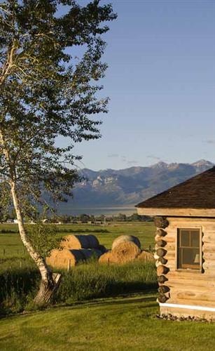 J Bar L Ranch Fishing Cabin: 