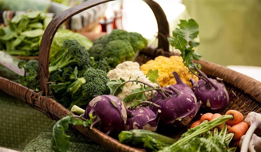 Deer Lodge Community Garden Farmers Market: 
