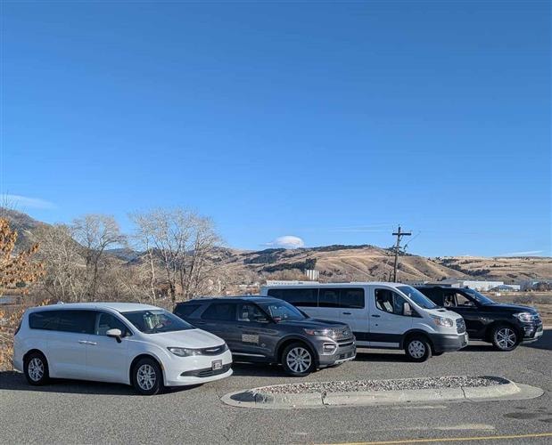 Old Faithful and Friends: 