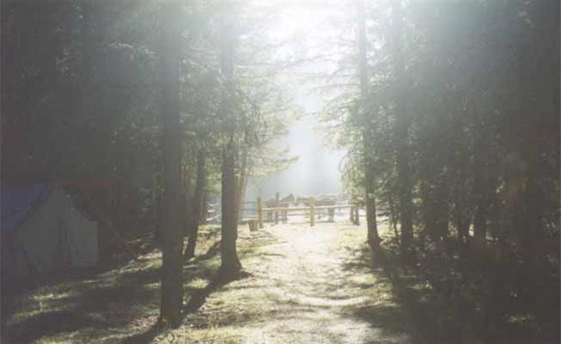 Scapegoat Wilderness Outfitters: morning sun on camp