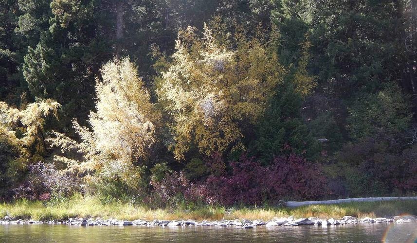 Flatline Outfitters: 