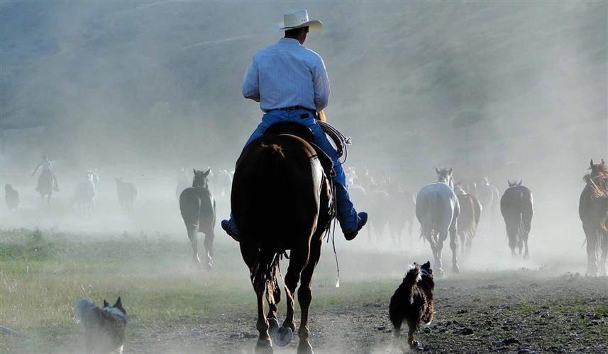 Rocking Z Guest Ranch: 