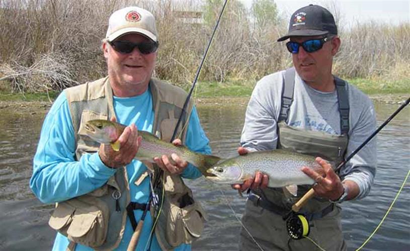 Missouri River Ranch: fish on dry flies